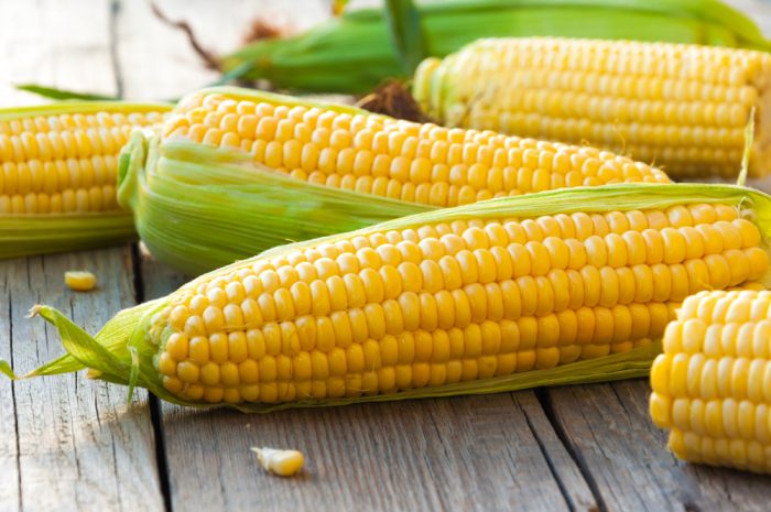 Навар от помола: представляем бизнес-план переработки в Украине кукурузы